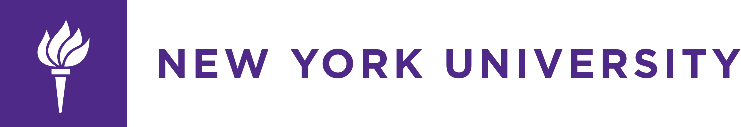 New York University